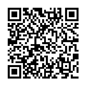 为什么自己就没有老唐的运气养了一个这么有本事的孙子呢二维码生成