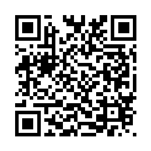 为什么要说是以苏落为首的队伍呢二维码生成