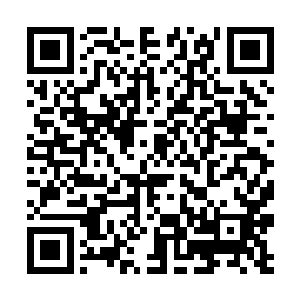 为什么轮到我就姥姥不亲舅舅不爱女人神经男人变态二维码生成