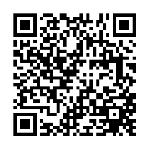 为什么还会有人在明令禁止的情况下打动袭击事件二维码生成