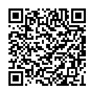 为什么这个世界上所有的恶人都喜欢去折磨好人二维码生成