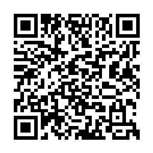 为什么这么重要的事不在书记办公会上先通个气二维码生成