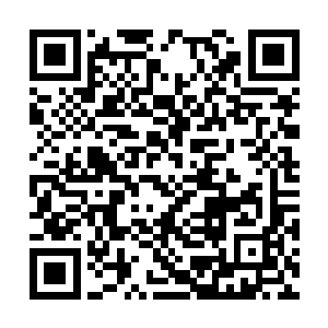 为何之前青檀和欣欣两位强大的存在要抹杀战公子二维码生成