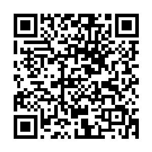 为何他在姚氏的脸上看到了那该死的凤瑾元的样子二维码生成