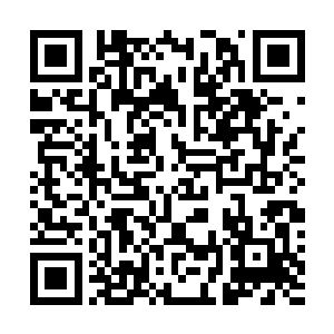为何皇上竟然事隔半个月后才收到佩城爆发瘟疫的消息呢二维码生成