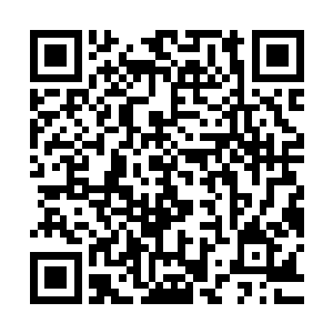 为何这等瞬间让整个仙境被灵气充盈的顶级灵晶对他都不算什么二维码生成