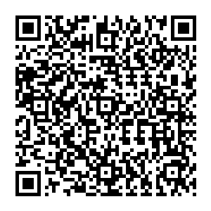 为师真不知道你想些什么如今夏道友更是我天南希望是整个神州大陆最后一块柱石了仙岛之行二维码生成