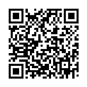 为当局提供各种政策选择和变化预测的二维码生成