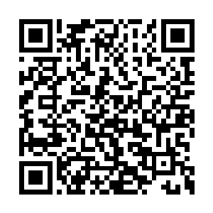 为我发现它本身蕴含着似同神树剑脉一样的属性二维码生成