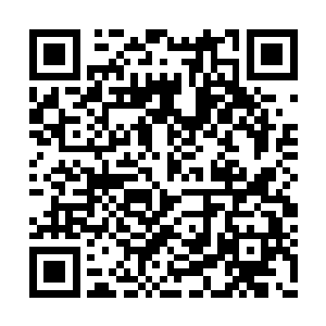 为此他还特意请了两名驯马师外加买了八匹赛马二维码生成