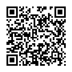 为此荣光还邀请了一些地震灾区的灾民代表来现场看球二维码生成