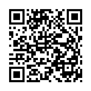 为爱痴狂以至于堵上了所有一切的特蕾西二维码生成