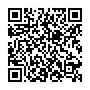 为首的一个一身亮银色铠甲的人的目光也落到了龙傲天的身上二维码生成