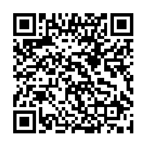 为首的一个黑衣人见状抬起头脸上有些惶恐的开口道二维码生成