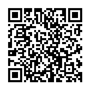 主人公往往是一个拥有严重心理缺陷并且遭遇挫折和不幸的人二维码生成