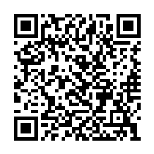 主人我们还没有正式认可怎么能就这样跟着死去二维码生成