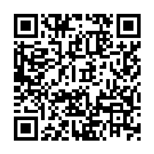 主公也将会与大都督谋求和平的方式把事情解决二维码生成