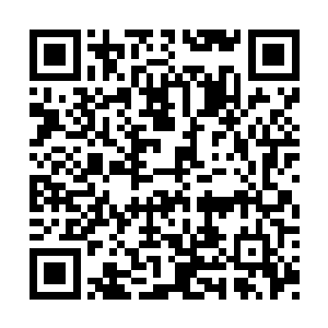 主动来此本是想找机会找苗毅出口气扳回面子的二维码生成