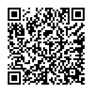 主子你到底怎么想的你可还记得咱们来大顺的目的是来找济安郡主看病的二维码生成