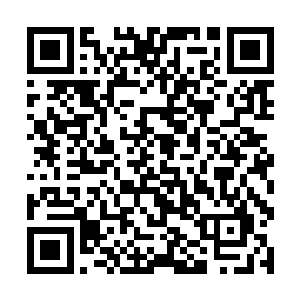 主宰者和四位镇域界主在远处感应着碰撞产生的波动二维码生成