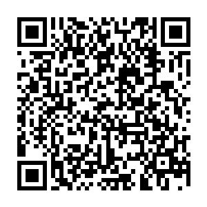 主持家事的小哑巴总算是将这一条街巷数十家大大小小住户的屋舍都买了下来二维码生成