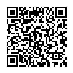 主播明明是在给我们完美诠释什么叫躺赢好不好二维码生成