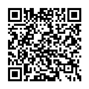 主教那带着些许亵渎和不敬的祈祷没有得到回应二维码生成