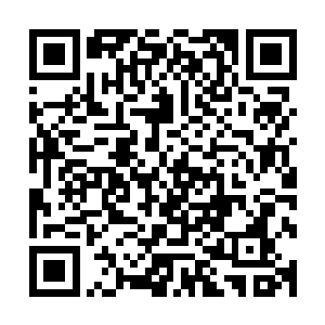 主要是为整个昌南中药材专业市场数百从业入员提供诸如住宿二维码生成