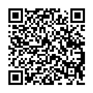 主要是参考了未来兔子的丝带姬的格斗弹仓设计二维码生成