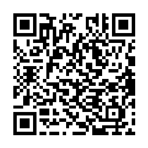 主要是因为他手下一个来自于黑暗议会的埃弗雷德二维码生成