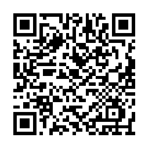 主要是因为这个人举办这种残酷冷血的地下拳赛二维码生成