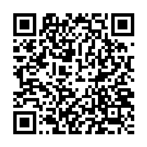 主要是因为龙傲天不小心触碰了圣山的禁制才会惊动里面的人的二维码生成