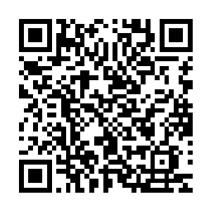 主要是欢迎周部长到我们这里给我们送来一个年轻有为的干部二维码生成