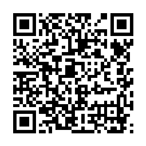 主要的论点还是因为宁毅等人不会捞鱼又在瞎胡闹二维码生成