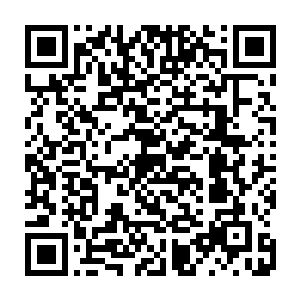 主要目的就是为了十年后的真武玄宫的门徒大典――成为真武玄宫的弟子二维码生成