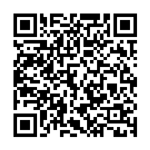 主要还是因为剩余的时间留给所有爱好者们和表演者们进行自由二维码生成