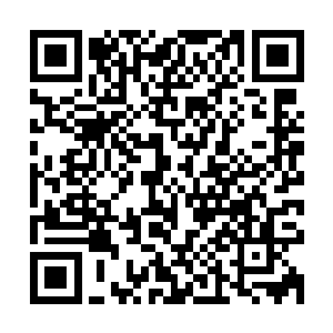 举办地又挪到了日本……这来回奔波的距离直接增加了一万公里二维码生成