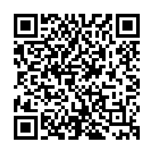 举手投足不经意间表现出来的力量足以让在场所有的人震撼不已二维码生成
