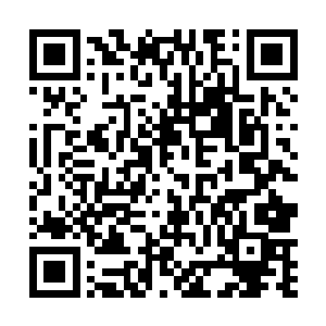 举目眺望也能看到更深处变化的地形和植物色彩的变化二维码生成