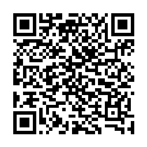 乃是京城府尹秦牧大人的亲妹妹秦羽灵也送了帖子给叶璃二维码生成