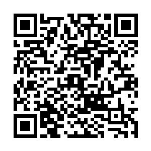 乃是在于半步武帝强者也有很大可能会中招的……二维码生成
