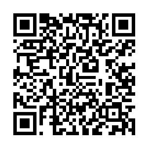 乃是归真阁穿针引线搞出来的……然后的所有事情二维码生成