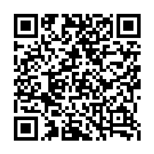 乃是当初进入端木神王洞府的那数十名主神之中二维码生成