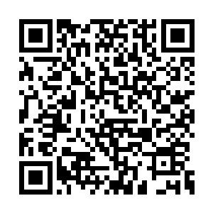 乃是当年疯魔道尊纵横碎星海时所用的第一神兵二维码生成