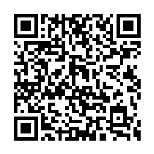 乃是戈衍从大荒元界中抓捕的一只九彩锦鸡之灵二维码生成