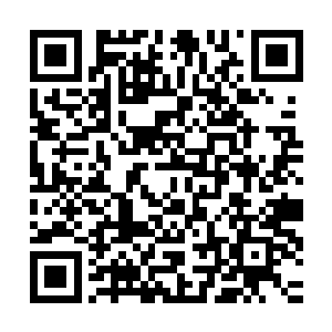 乃是用成年大螳螂肚皮里面寄生的铁线虫炼制出来的半成品而已二维码生成