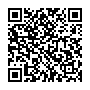 乃是神木岛海域外海第一大岛玄乌岛炼气期修士中有名的散修二维码生成
