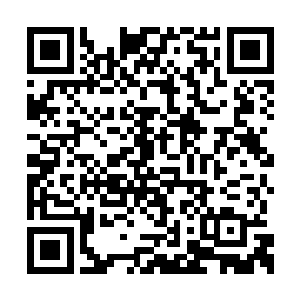 乃至于之前说的那片禁制着龙玥母亲龙魂的秘境二维码生成