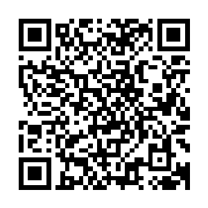 乃至于延伸出去的相关的基础的阵法符咒这一类冷门些的这些二维码生成