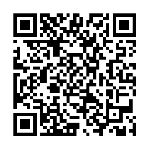 乃至于黑色红色紫色都在这一瞬全部脱离苍穹之上的漩涡二维码生成